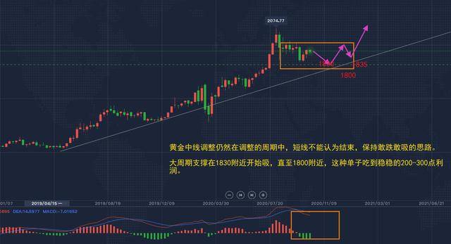 探索最新趋势，聚焦01bz的革新步伐