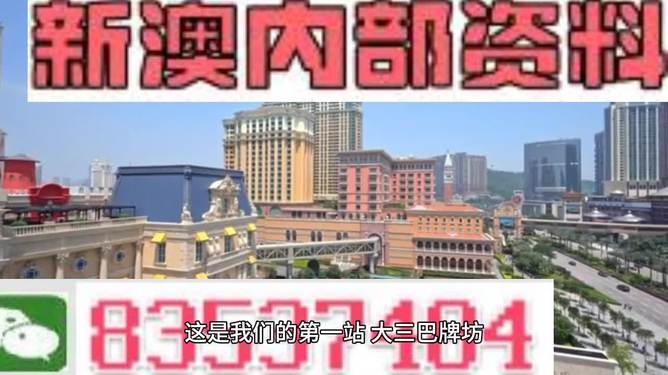 2024新澳门正版免费资料，精选解释解析与落实策略