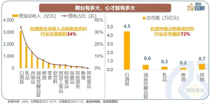 揭秘王中王开奖历史记录网，精选解析与落实策略