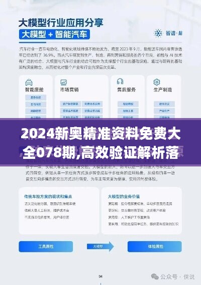 新澳2024年正版资料解析与落实精选详解