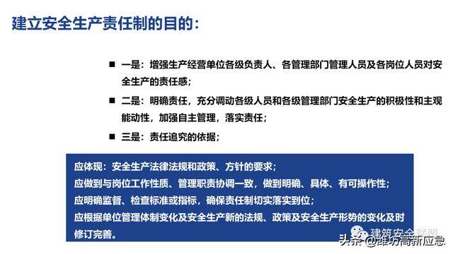 新澳精准资料免费提供网，精选解释解析落实的重要性与价值