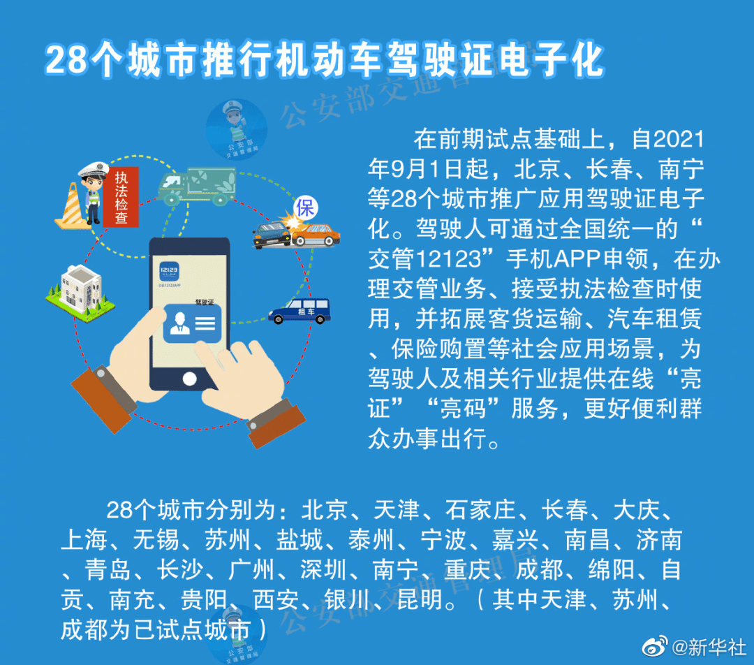 揭秘2024新澳精准正版资料解析与落实策略