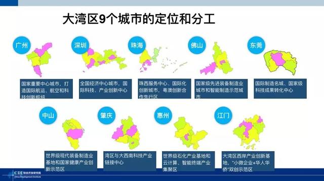 2024新澳免费资科五不中料|精选解释解析落实