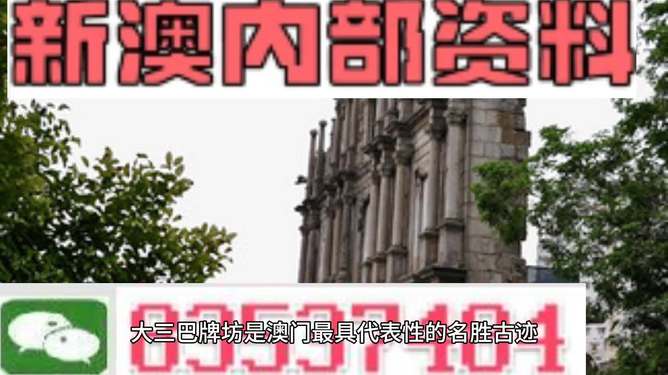 澳门内部资料精准公开|精选解释解析落实